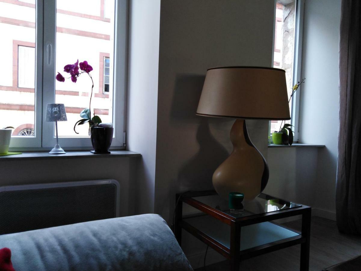 Les Chambres Hautes D'Anastasia Rodez Exterior photo